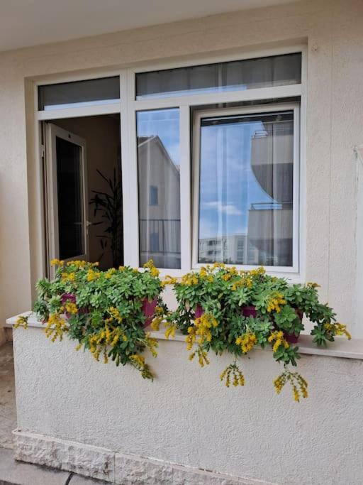 Holiday Home Apartment Budua Esterno foto