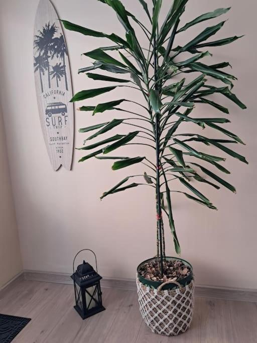 Holiday Home Apartment Budua Esterno foto